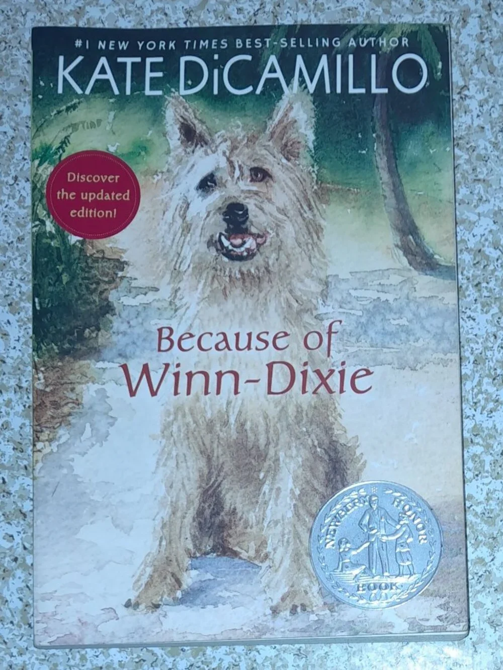 Children's Chapter Book: Because of Winn-Dixie by Kate DiCamillo